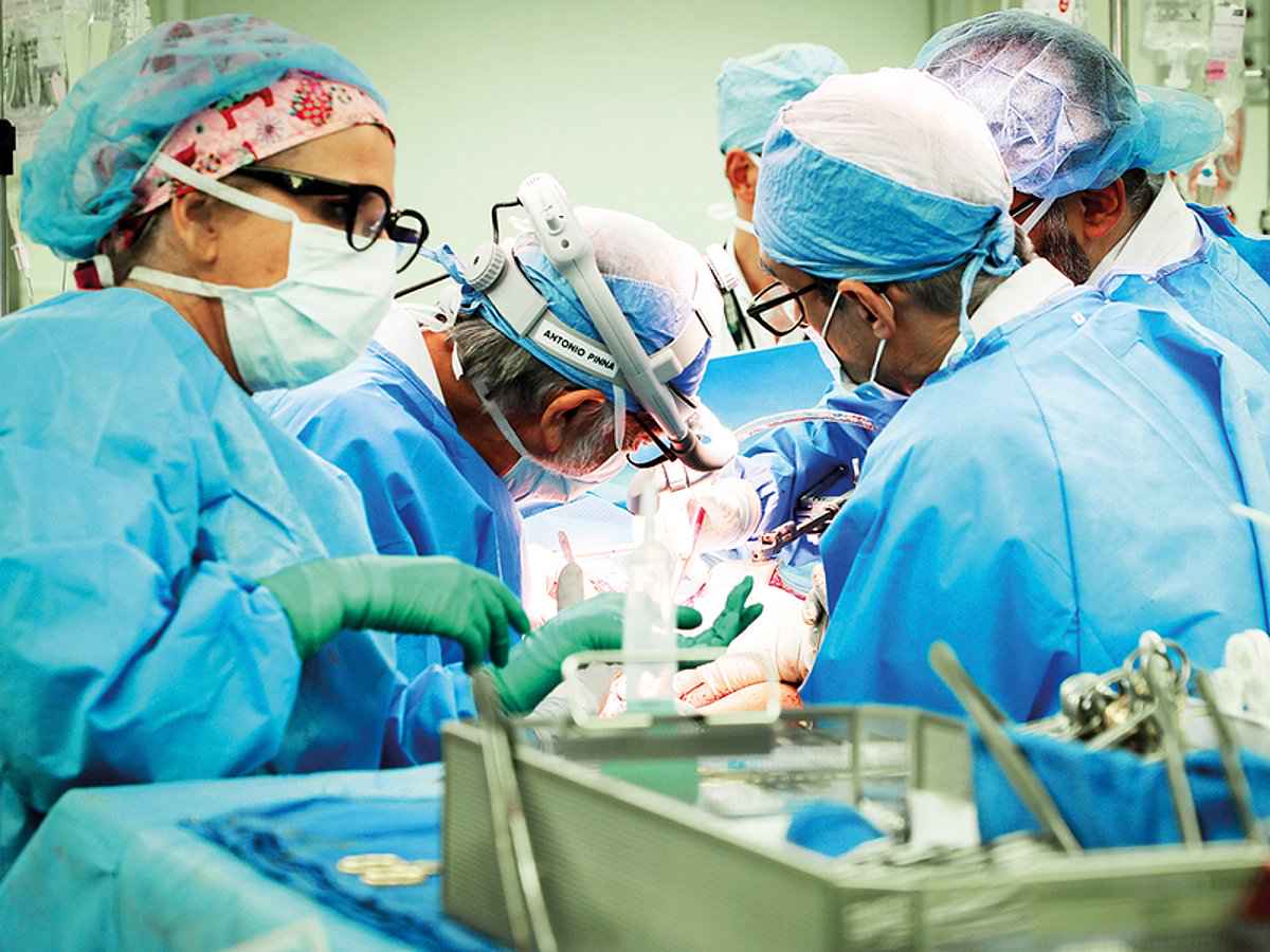 United Arab Emirates: Animal Organ Transplants Approved